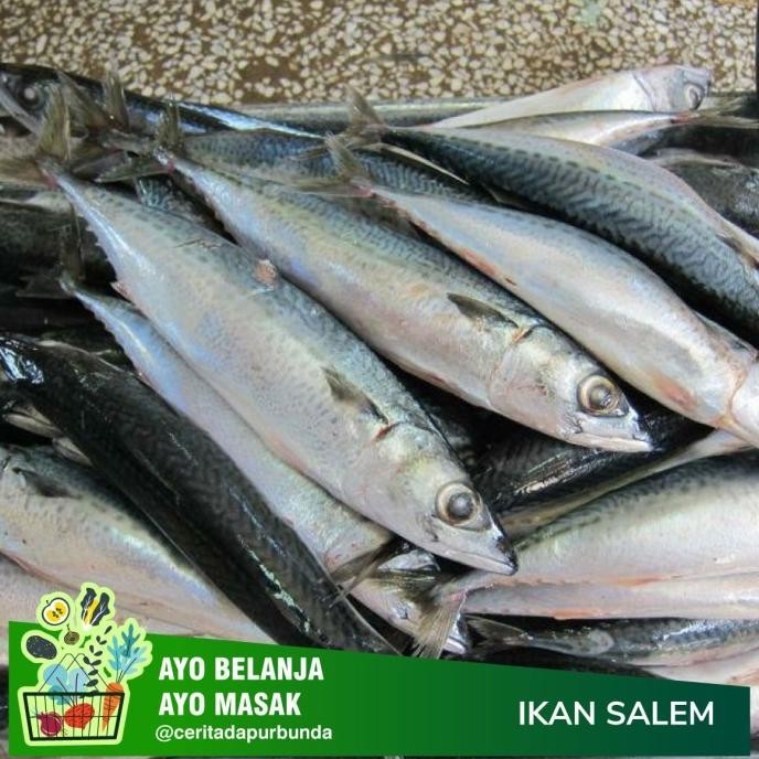 

Ikan Salem per 500gr