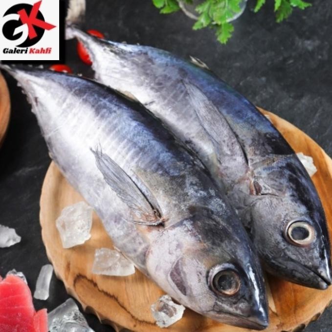 

Ikan Baby Tuna Segar Fresh Berkualitas Grade A - 1 Kilogram