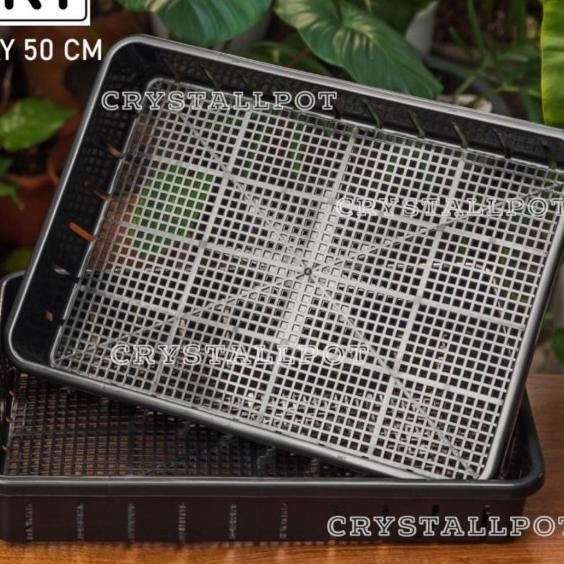 Tray Pot Untuk Semai Bibit Hidroponik 50Cm - Tray Pot Nkt 50Cm