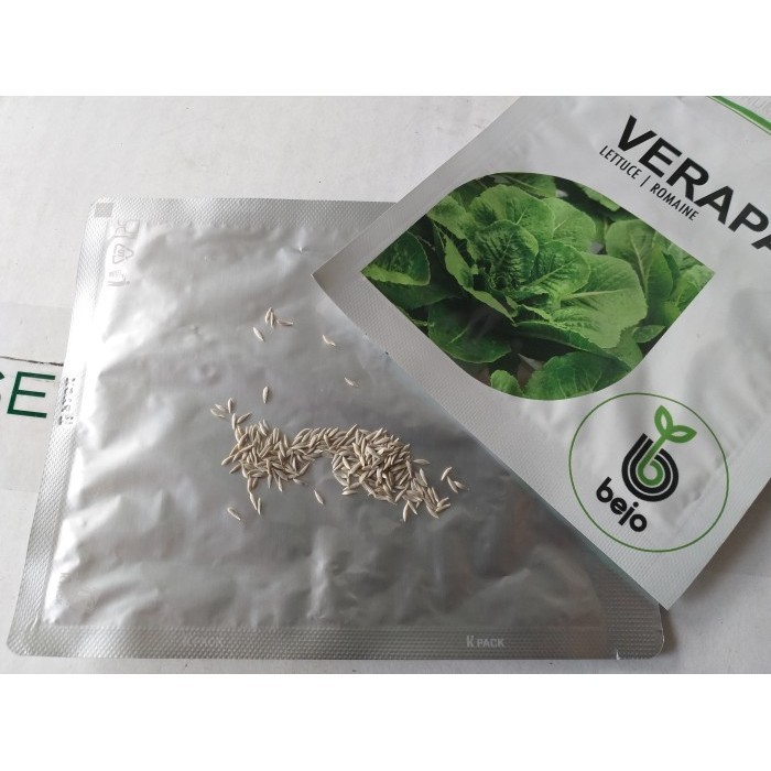 Benih Lettuce Romaine Verapas Bejo Seed - Import