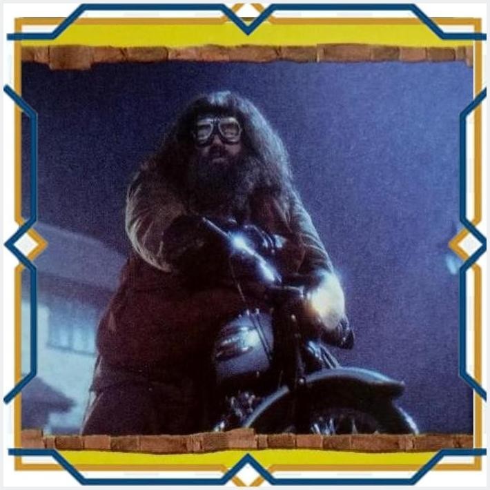 

[WDE] STIKER PANINI HARRY POTTER PHILOSOPHER'S STONE HAGRID #10