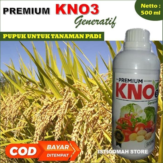 Cod Obat Pembobot Buah Padi Premium Kno3 500Ml Pupuk Penambah Bobot Padi - Obat Semprot Penambah Bob