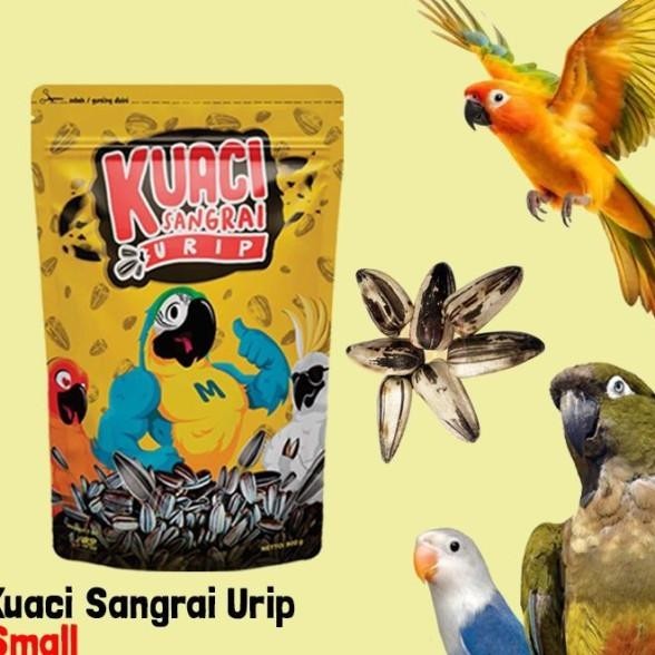 

Kuaci Sangrai Urip Small Aci Best Quality For Parrots