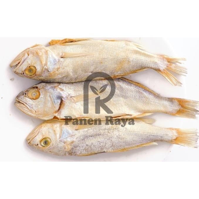 

Ikan Asin Sileman Pasuruan A9