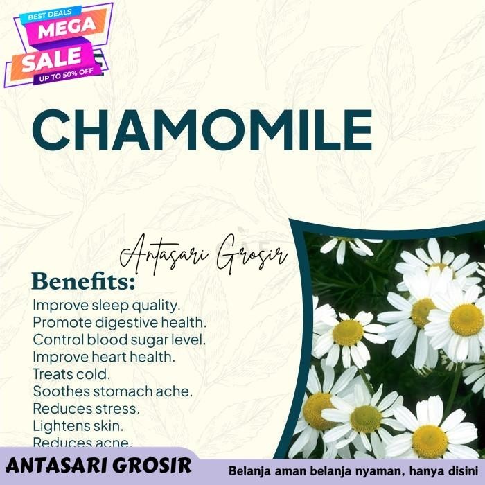 

CHAMOMILE 25 TEA BAGS TEH BUNGA YUNANI 100% PURE ORGANIC PREMIUM BEST SELLER!!