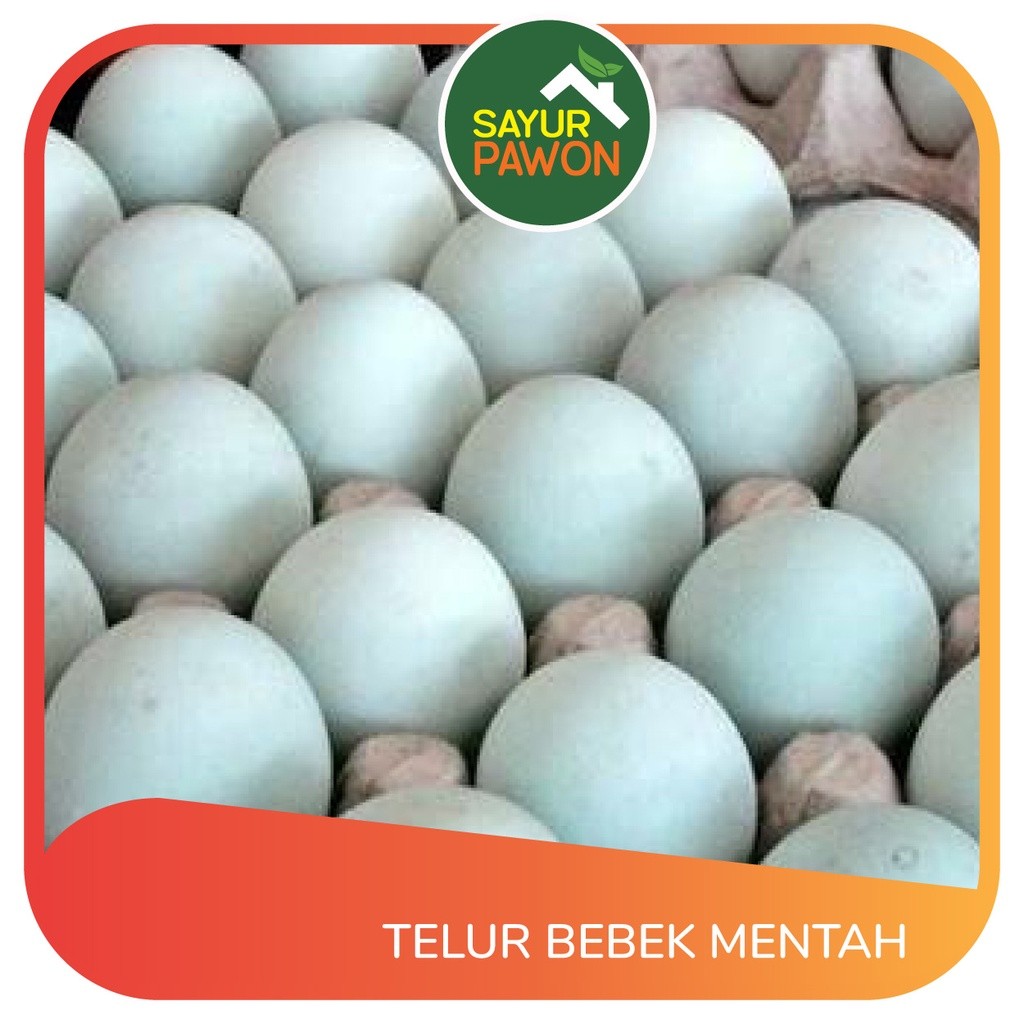 

TELUR BEBEK MENTAH per butir