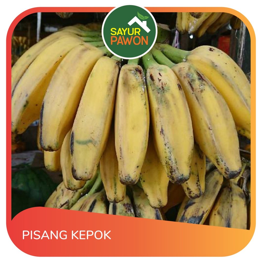 

PISANG KEPOK