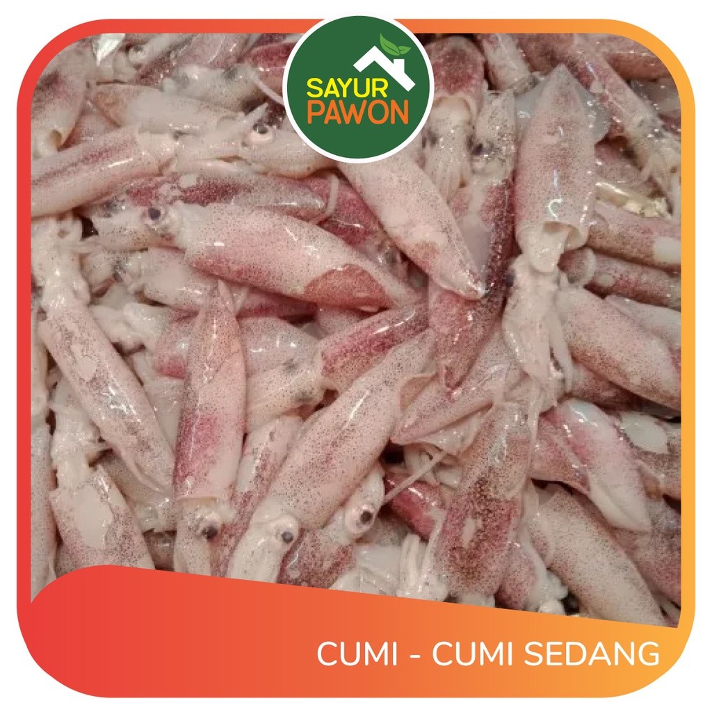 

CUMI-CUMI SEDANG SEGAR Per 250 gram