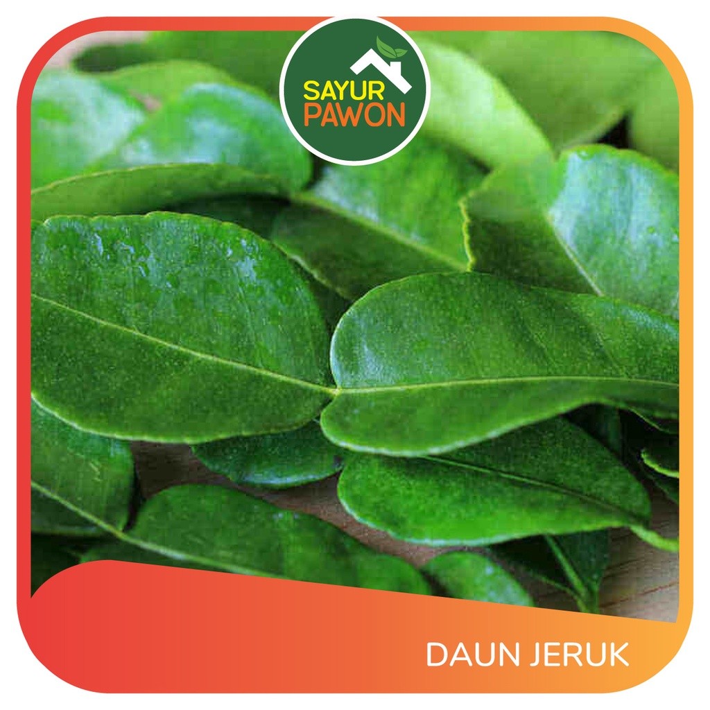 

DAUN JERUK SEGAR per bungkus