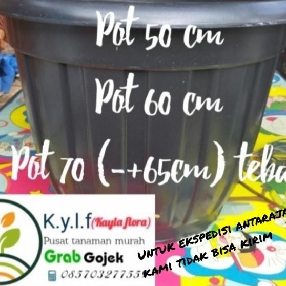 Pot Besar 70 / Pot Plastik / Pot Tanaman / Pot / Pot Bunga / Pot Hitam