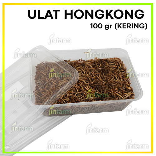 Ulat Hongkong Kering Dried Mealworm 100gr