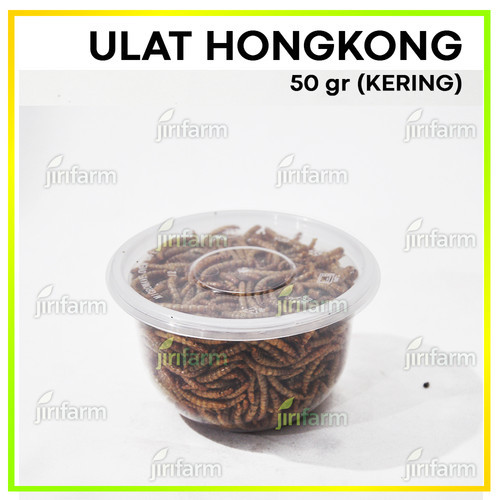 Ulat Hongkong Kering Dried Mealworm 50gr