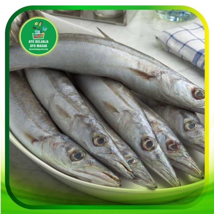 Ikan Barakuda / cucut 500 gram ( ikam segar jogja )