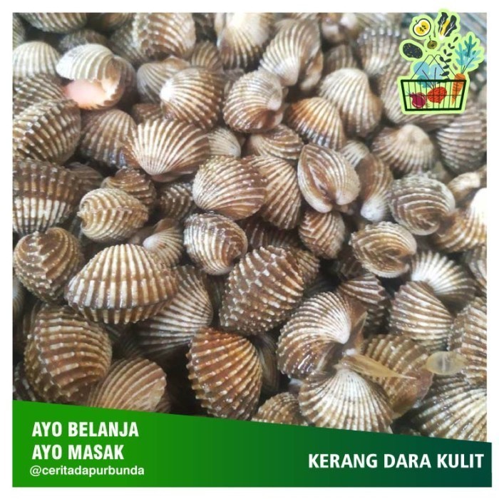 

KERANG DARA KULIT per 500gr