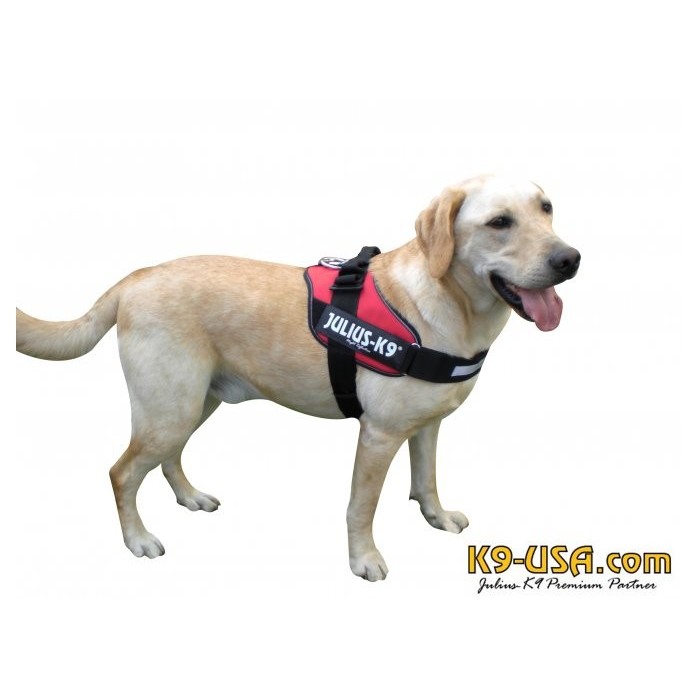 Harness Herness Anjing Julius K9