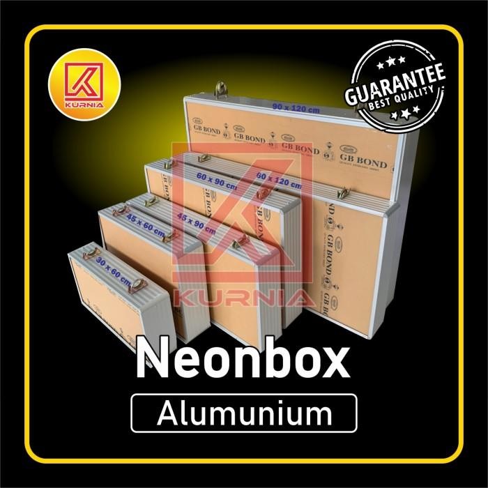 Neon Box 60X120 Aluminium