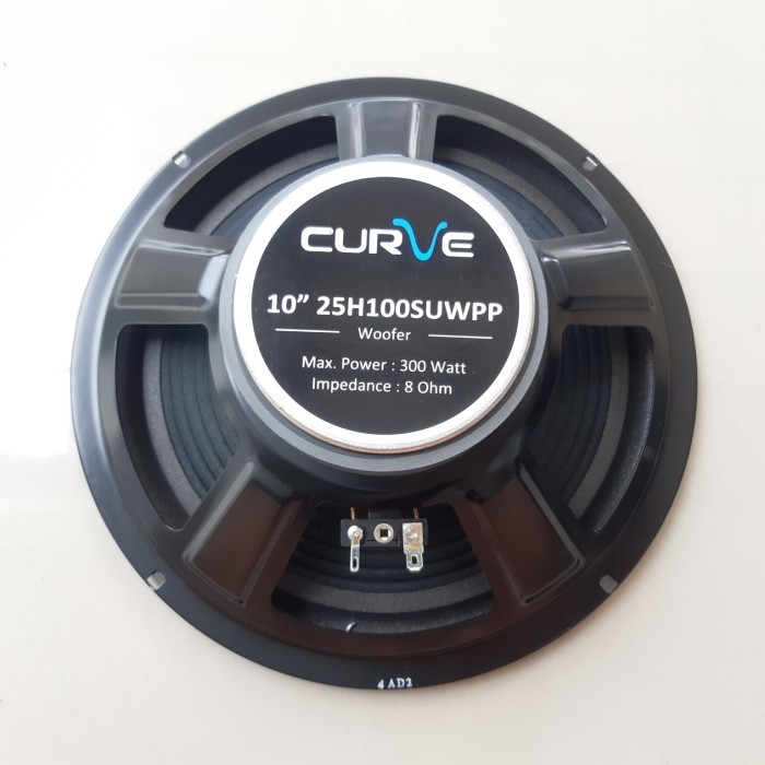 SPEAKER 10 INCH WOOFER CURVE 300 WATT