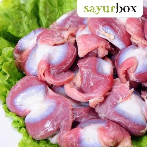 

Ampela Ayam 1 kg Sayurbox