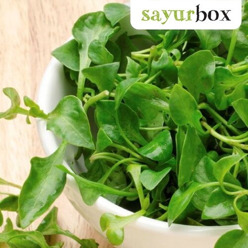 

Selada Air Konvensional 250 gram Sayurbox