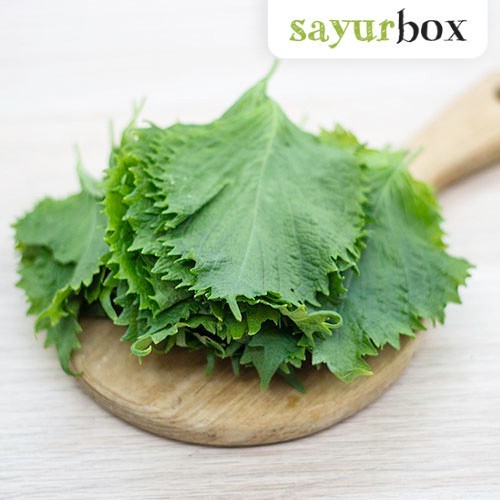 

Obha Konvensional 35 gram Sayurbox