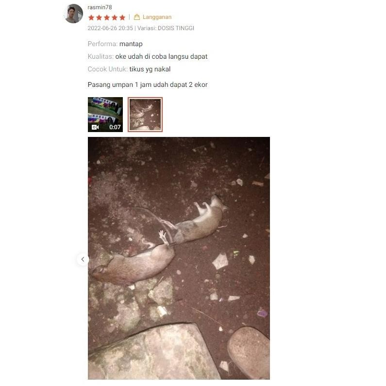 Temix Temik Timex 1Kg Racun Tikus Dan Hutan Original Shp14