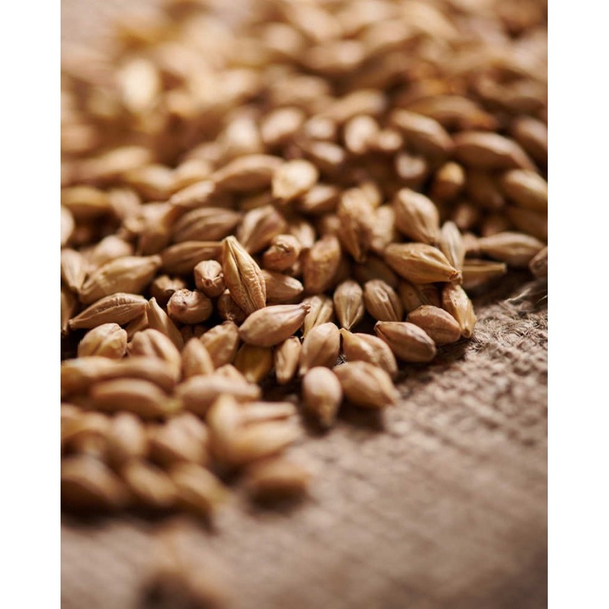 

Dijual!!! Weyermann Acidulated Malt Ebc: 2.0 5.0 1000Gr