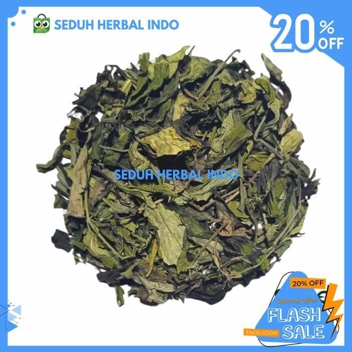 

DAUN SAMBILOTO KERING MURNI / DRIED GREEN CHIRETTA LEAF 15 GRAM BEST