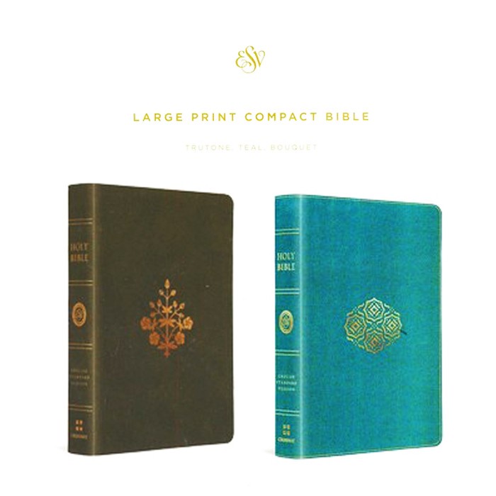ESV LARGE PRINT COMPACT BIBLE (TRUTONE) LEATHERSOFT