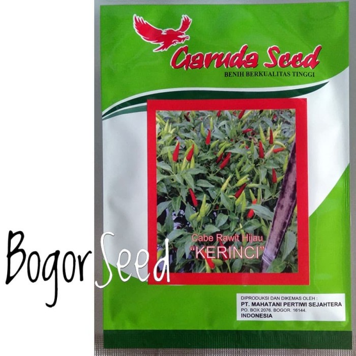 [Bibit] Isi 2000 Biji Benih Bibit Cabe Rawit Hijau Kerinci 10Gram [Unggul]