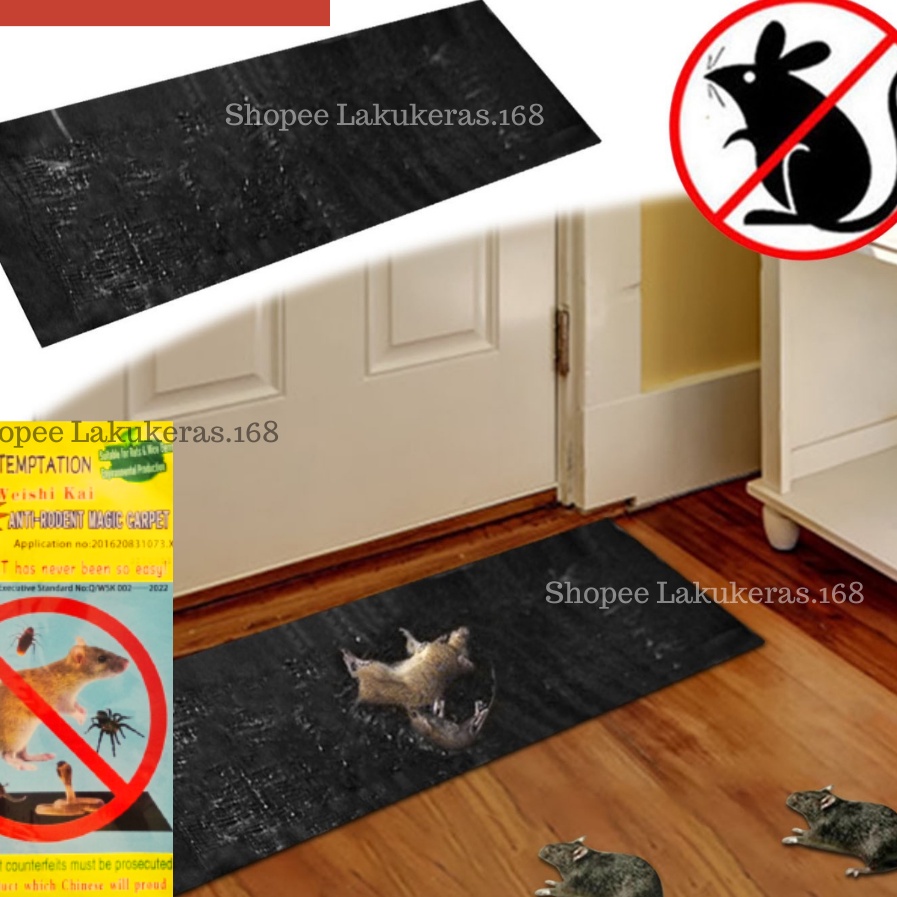 

[Q-W㊛☼R] Lem Tikus Jumbo/ Magic Carpet/ Lem Tikus Karpet Super Lengket/ viral..!