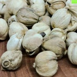 

KapuLaga /Rempah Masak / Bumbu Masakan Nusantara 1kg