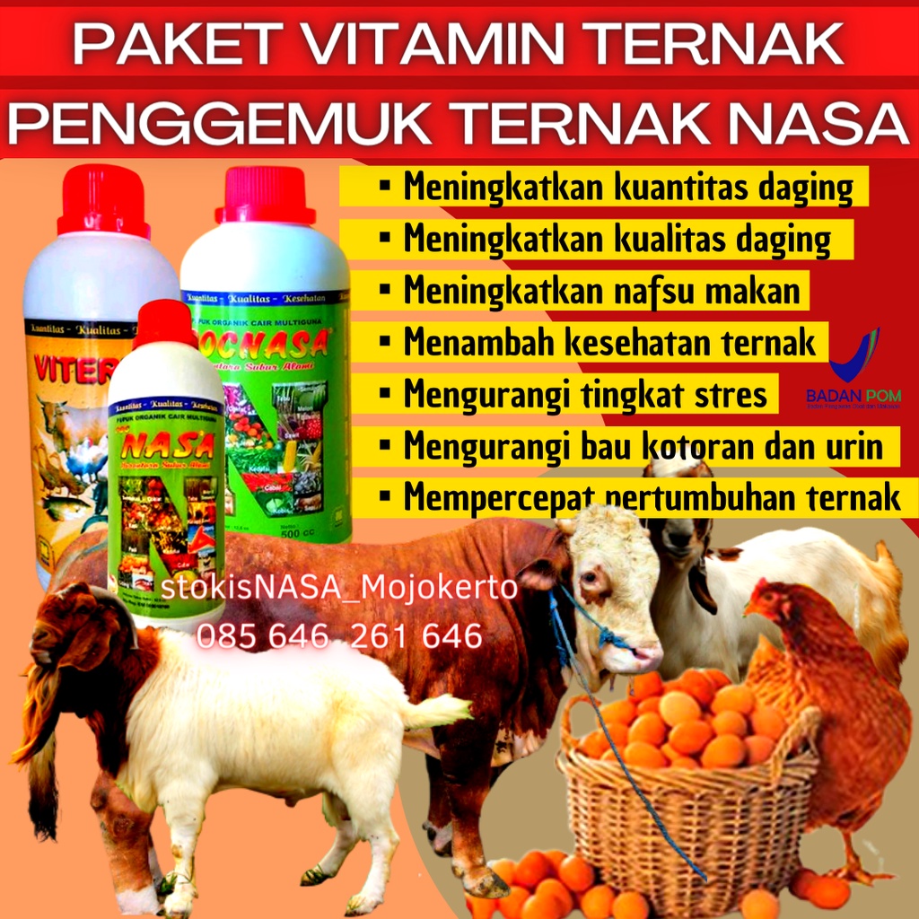 PAKET VITAMIN TERNAK ORGANIK NASA VITERNA 500CC POCNASA 500CC HORMONIK 100CC PAKET PENGGEMUK SAPI PE