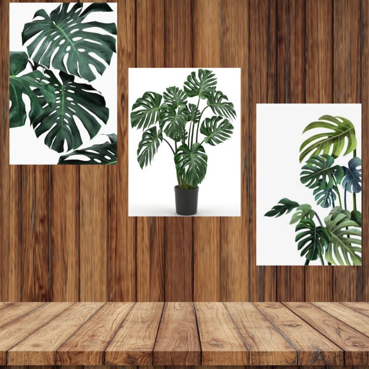 ｀ Hiasan dinding tropikal ukuran jumbo | Hiasan dinding daun monstera ukuran A4 | Hiasan dinding uku