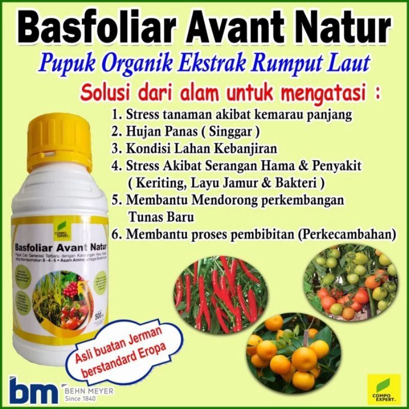 basfoliar avant natur/nature 500 ml