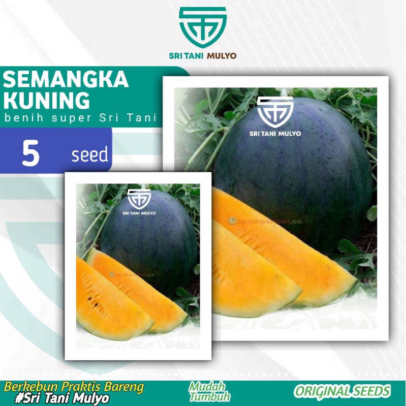 5 Biji - Benih Unggul Semangka Kuning DAVINA F1 - Bibit Buah Bibit Sayuran Bibit Semangka Inul