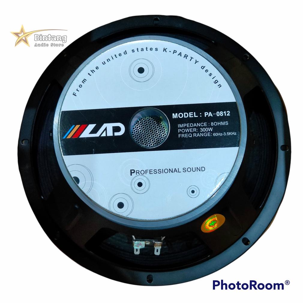 DIH1163 Speaker Spiker LAD midle midel 12 inch PA-0812 300Watt +