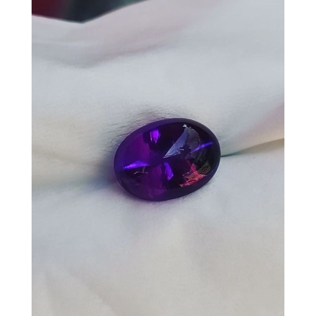 KECUBUNG ASLI KALIMANTAN, KECUBUNG UNGU BORNEO KALIMANTAN