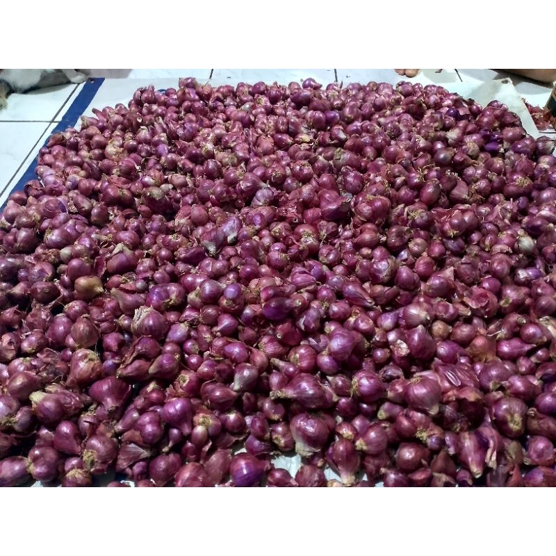 

bawang merah super 500 gr