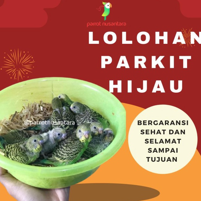Cod lolohan parkit hijau