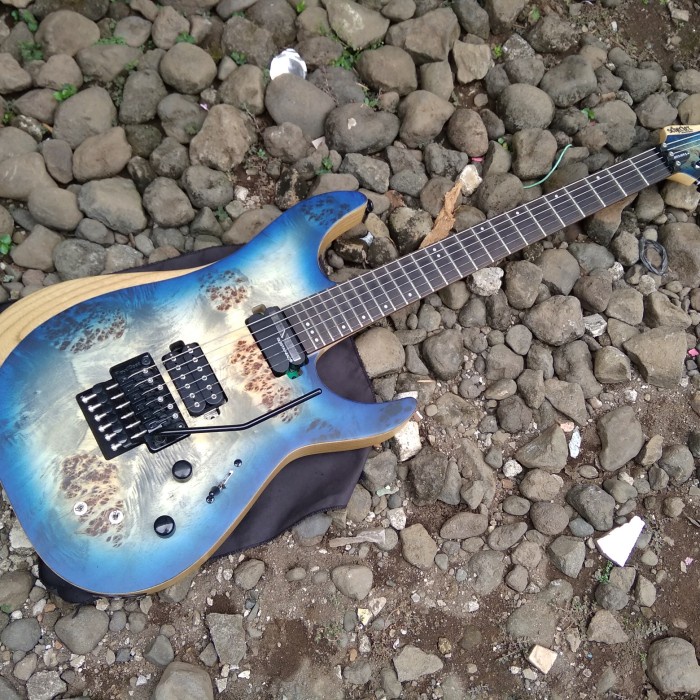 Gitar Schecter Reaper 6 FR Sustainiac