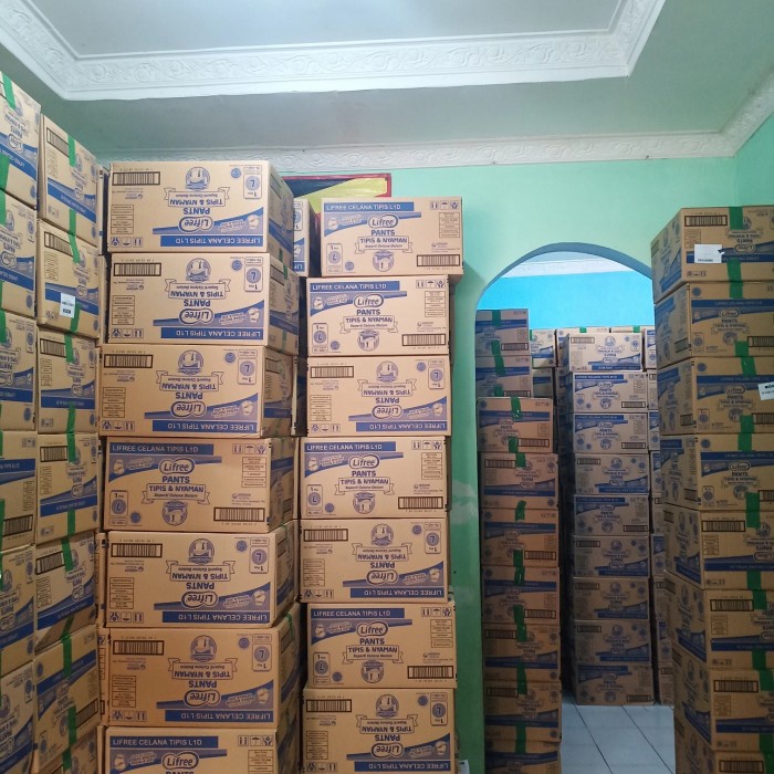 1 Dus Isi 48 Lifree Popok Celana Dewasa Celana M/L/Xl Berkualitas