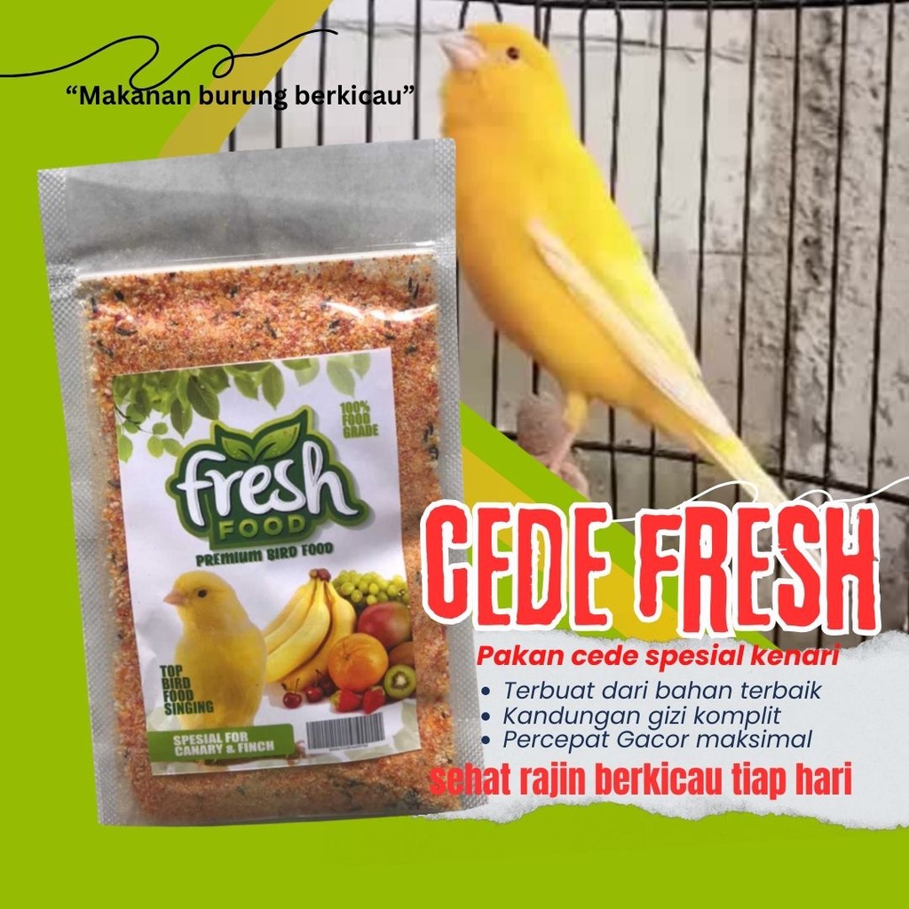 FRESH FOOD CEDE KENARI BUAH BUAHAN COCOK UNTUK HARIAN DAN LOMBA