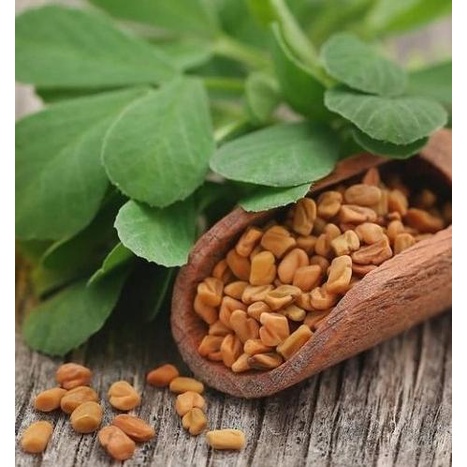 

Termantab] Halba - Klabat - Methi Seeds - Methi Dana - Fenugreek Seeds 100 gram