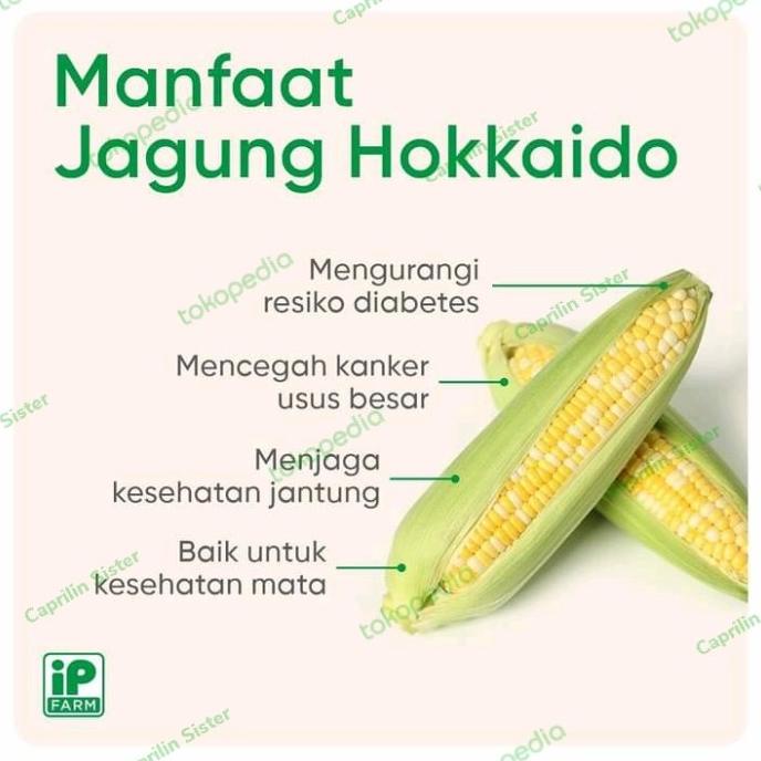 

((((()paling dicari] Jagung hokkaido tomorokoshi 2 pcs / hokkaido sweet corn