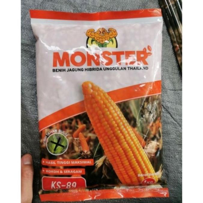 Benih Jagung Hibrida Unggulan Thailand KS 89 MONSTER 1 kg