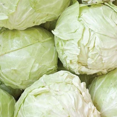 

Kubis - Kol 500 Gram Pos Sayur Palembang