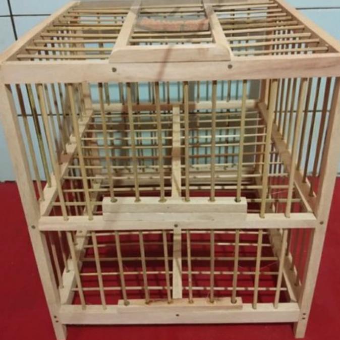kandang burung merpati dondang 2 pintu