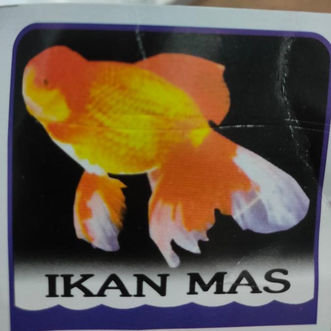 @#@#@#] Jaring pukat tasi senar 3" x 015 / 70Md x 80y