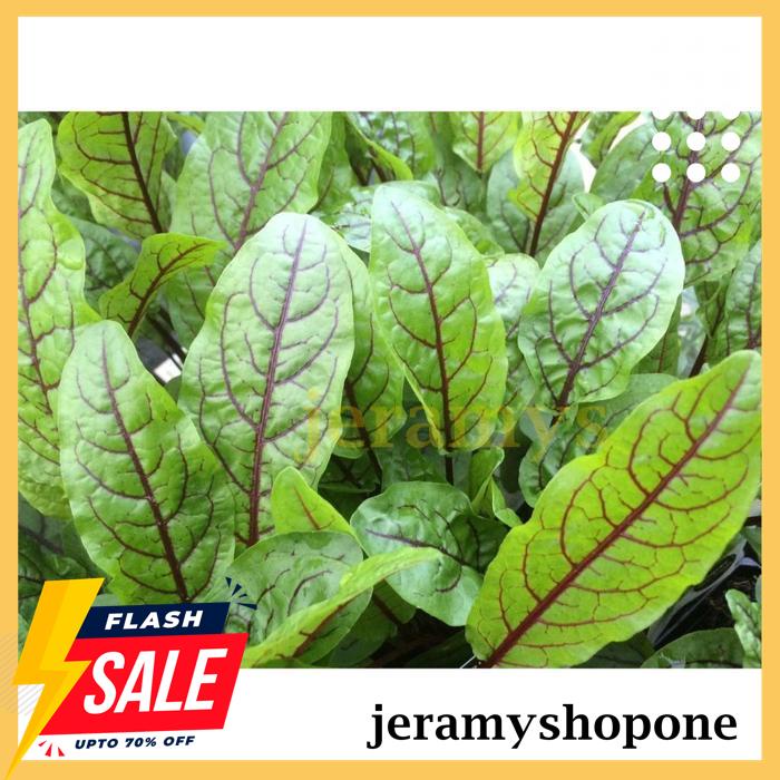 BEST BRAND BENIH-BIBIT SORREL RED VEINED (HAIRA SEED) 