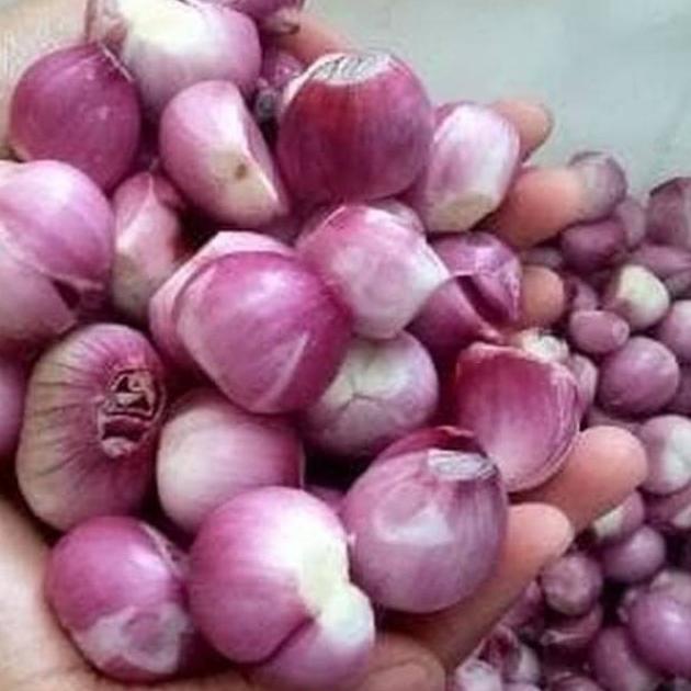 

Termurah Bawang Merah Brebes Promo Ukuran Kecil 1Kg Bisa Cod